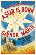 Story movie - 一个明星的诞生1937 / 爱情万年青  星梦泪痕  明星诞生了