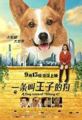 一条叫王子的狗 / A Dog Named “Wang Zi”  Prince  哥基王子