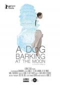Story movie - 再见 南屏晚钟 / A Dog Barking at the Moon