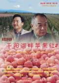 Story movie - 千阳湖畔苹果红2