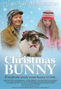 Story movie - 圣诞兔子
