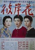 Story movie - 彼岸花1958 / 龙爪花  Higanbana  Equinox Flower