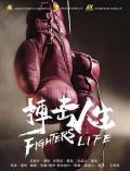Story movie - 搏击人生 / Fighters Life