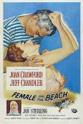 Story movie - 海滩怨妇 / 沙滩上的女人  海滩上的女人