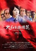 Story movie - 火红的杜鹃花 / Firey-red Azalea