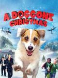 Comedy movie - 狗狗圣诞节