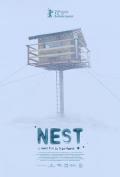 窝 / Nest