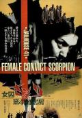 第41号女囚房 / Jailhouse 41 Female Convict Scorpion