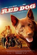 红犬历险记 / 红犬背包客(台)  红犬  红狗