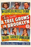 长春树 / 布鲁克林有棵树  布鲁克林的一棵树