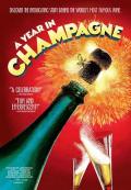 Story movie - 香槟的一年