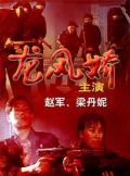 Story movie - 龙凤娇