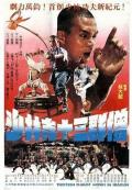 Action movie - 十三癫和尚 / 少林十三群僧  少林寺十三棍僧  War of the Shaolin Temple
