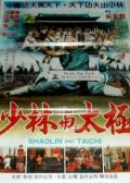 Action movie - 少林与太极 / Shaolin And Tai Chi