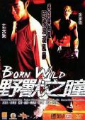 野兽之瞳 / Born Wild