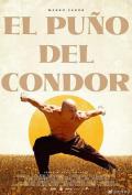 Action movie - 雕形拳 / The Fist of the Condor