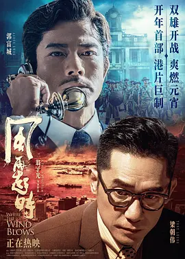 Action movie - 风再起时2022 / 全球通缉令  Theory of Ambitions