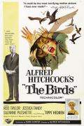 Horror movie - 群鸟 / 鸟  Alfred Hitchcock&#039;s The Birds