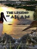 Story movie - 小鳄鱼的故事 / The Legend of Akam