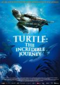 海龟奇妙之旅 / 在海里飞翔(台)  海龟：奇妙之旅