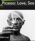 Story movie - 毕加索：知性懂爱的艺术大师 / 毕加索：爱、性和艺术