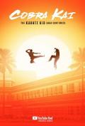 European American TV - 眼镜蛇第一季 / Cobra Kai: the Karate Kid Saga Continue
