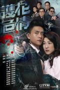 HongKong and Taiwan TV - 护花危情国语 / Miss Cool外传  Witness Insecurity