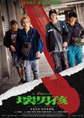 Story movie - 坏男孩 / 失能少年,The Young Hoodlum
