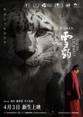 Story movie - 雪豹2023 / Snow Leopard