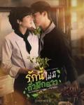 Singapore Malaysia Thailand TV - 爱情罗勒香 / This Love Doesn't Have Long Beans,这份爱没有长豆角,Rak Ni Mai Mi Thua Fak Yao,没有豆子，爱我更多,这份爱没有长豆,恋爱炒罗勒,豆角爱恋,罗勒豆角,豆角爱