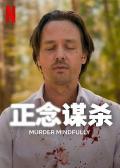 Singapore Malaysia Thailand TV - 正念谋杀 / 正念杀机(台),Murder Mindfully