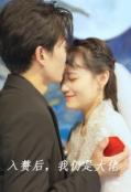 Love movie - 入赘后，我仍是大佬